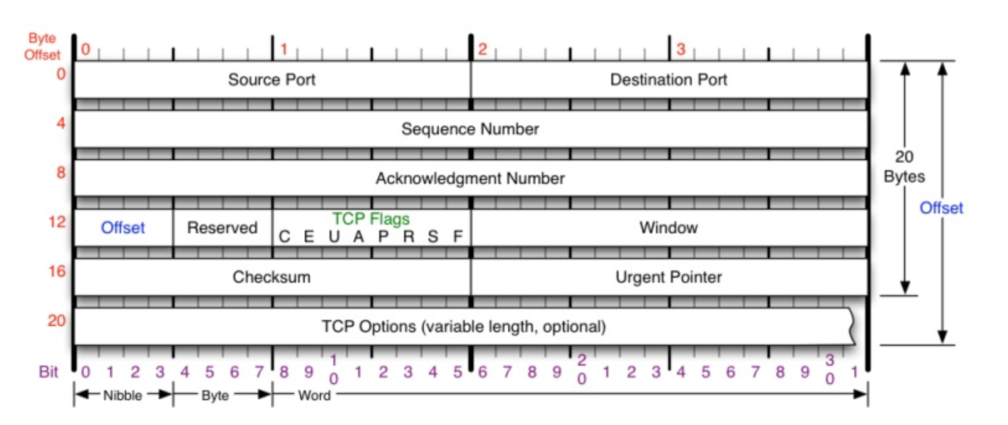 tcp头部